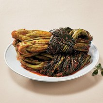 (히)영심푸드 여수갓돌이갓김치3kg, 단일옵션
