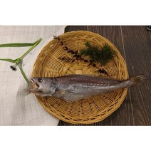 부산 반건조 생선 자연산 참민어 제수용 참민어탕 참민어구이, 중/ (38cm내외/ 390~ 410g)