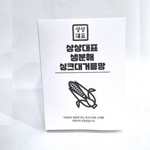 상상대표 생분해 싱크대거름망 배수구 음식물 거름망, 50개입, 1개