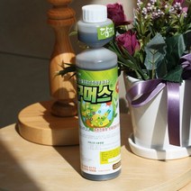 원예용 식물영양제 화분영양제 구머스 26483ea, 장연다육 본상품선택