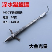 작살 해루질 장비 수중 포크 스테인레스 스틸 낚시, 1 깊은 물 사냥 다트（30그램）