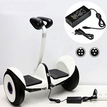 [ 전동 킥보드 ] Ninebot Segway 63V OEM 배터리 충전기 미니 프로/미니 라이트 전기 스쿠터 균형 자동차 충전기 스쿠터, [2] 4 hole, [1] CHINA