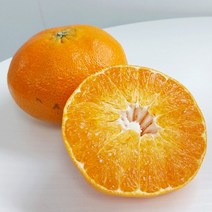 고당도 프리미엄 제주 레드향 명절선물 고급 선물세트 제주도 귤, 레드향 2kg (중/소 10과 내외)