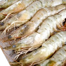 냉동 자연산 대하1kg(20~30미내외), 단품