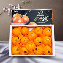 [충격완화선물포장] 제주도 레드향 선물세트 제주 천혜향 레드향 5kg 선물용 특 대과 레드향3kg 설 명절 선물 세트 과일, A. 최고급선물용 레드향3kg