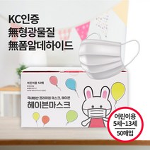 국산 어린이 덴탈 마스크 50매 KC인증 초등학생 아동용 소형 헤이븐마스크, 헤이븐 그레이(성인용 대형) 50매