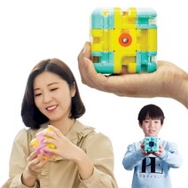 아이디어 상품 두뇌개발 집중력향상 3차원 미로 큐브 신기한 재미있는 심심풀이 두뇌운동