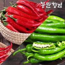 국내산 풋고추+홍고추 (혼합형) 5kg, (안매운)풋고추5kg