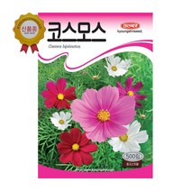 경신종묘 꽃씨앗 코스모스(일반종) 500립