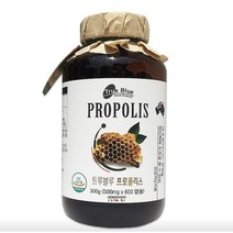 트루블루 프로폴리스 500MG X 600캡슐 코스트코 영양제, 1개