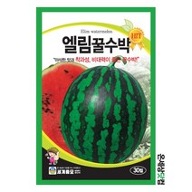 엘림꿀수박 30립 / 수박씨앗 수박씨 주말농장 베란다텃밭, 1개