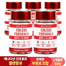 건조효모 콜레우스 포스콜리 결정판 60정 셀레늄 판토텐산 칼슘, 5개