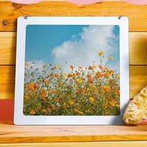 행잉액자/황화코스모스(사각중형), 타입:타입3