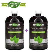 네이쳐스웨이 Chlorophyll 클로로필 민트 473.2ml 2팩, 2개