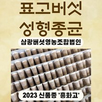 부영한방약초 수정과재료 계피 생강, 1개, 계피300g+건강200g