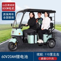 다인승 오토바이 삼륜 전동차 세발 전기 스쿠터 미니 카트 미니 노인 장애인, 60V, 800W 60V 20A 리튬 배터리