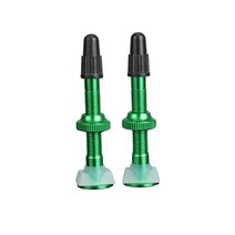 범용 자전거 40mm 튜브리스 타이어 밸브 2 팩 12.8mm 기본 알루미늄 합금 타이어 밸브 (o-링 교체 부품 포함), 03 Green
