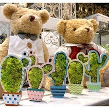 스칸디아모스 DIY 천연이끼 모스화분 만들기 x5 치매예방 유치원 초등만들기키트 집콕놀이