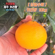 당일수확 고당도 제주 카라향 가정용 3kg 5kg 10kg 제주도귤, 선택1. 혼합과(못난이포함) 10kg, 1개