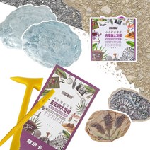 고고학 체험 화석캐기 발굴키트 장난감 화석발굴 초등 완구 교구 과학체험 고생물 뼈 삼엽충 고사리 행복한, 화석발굴키트