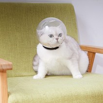 고양이우주넥카라 타공헤드볼 투명 물림방지 헤드커버 다묘가족필수품, M