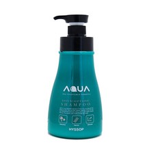 히솝 아쿠아스칼프크리닉 샴푸(씨)1000ml, 1개, 1000ml
