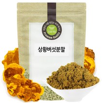 상황버섯 분말 가루 100g 국산 국내산, 단품, 단품