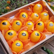 [제주산지직송] 제주 천혜향 3kg(13~17수 중과 선물용) 그윽한 향과 팡팡 터지는 과즙 과일선물세트 박스무게포함, 2박스