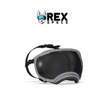 렉스스펙스 옐로우 RexSpecs 고글 V2 강아지고글, 23 V2그레이
