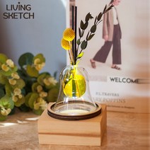 [리빙스케치]골든볼 프리저브드 LED조명 디퓨저세트 방향제 핸드메이드 인테리어소품 선물포장, 블루마린