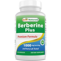 베스트내츄럴스 베르베린 플러스 Berberine 1000mg 120캡슐 2병, 120정
