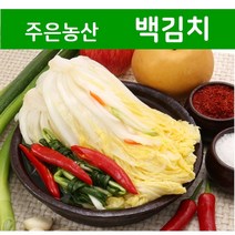 [국내제조] 시원하고 맵지않아 아이들이 좋아하는 주은농산 백김치 10kg, 백김치 10kg+아이스박스 포장