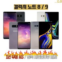 갤럭시노트8 갤럭시노트9 중고폰 공기계 알뜰폰 자급제 리퍼폰 중고, 갤럭시노트8 256GB, A급, 오키드 그레이