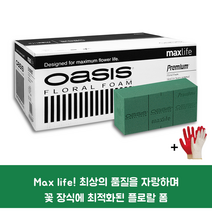 오아시스 프리미엄 플로랄폼 1박스 20개입 작업장갑 꽃꽃이 재료 용품 자재스토어 +전용장갑셋트, 5박스+장갑셋트
