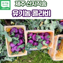 산지직송 제주 유기농 콜라비 3kg 5kg 10kg, 유기농콜라비_5kg, 1개