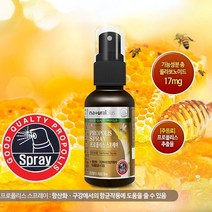캐나다산 프로폴리스 스프레이 항산화 구강관리 성장기어린이 청소년영양제 환절기영양제 30ml