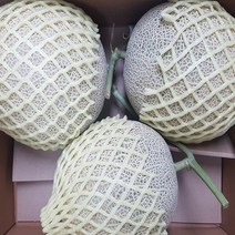 머스크메론 선물세트, 8kg 로얄과 (3-4수)