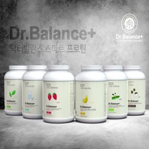 닥터발란스 단백질 헬스 보충제 유청단백질 초코맛 2kg WPC 닭가슴살, 그린티락토2kg