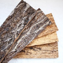 달리베리 굴피나무 직사각 20 껍질묶음(5장) 나무껍데기 나무소품 인테리어소품