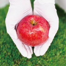 [당도선별] 청산도실 영주 꿀 사과 5kg/10kg, 가정용, 정품+흠과 (17~23과) 5kg