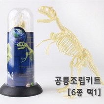 공룡뼈 화석 모형 조립 피규어 장식품 방과후 학습 수업 창의 초등 실험 교구 돌봄 관찰 과학, 트리케라톱스