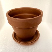 [올식스] 이테리토분세트 11cm 바소볼케이노 다육식물 선인장 다육금 코노피튬 리톱스 메셈 수입다육이 국민이 하월시아