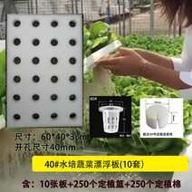 수경재배기 수경재배도구 수경식물 야채 채소 상추 새싹 물에서키우는식물, 40호판10세트(10판+250면+250블루)