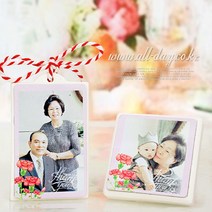 올데이 포토 석고방향제-카네이션(땡큐)-[본품+케이스+설명서], 로즈우드