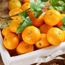 소포장 하우스감귤 제주도감귤 명절 어른선물 1kg