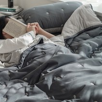 네이처워싱 다운필 자수 차렵이불세트 Q 윈터포그