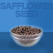 더건강한 샵 국내산 홍화씨환 홍화 홍화씨, 300g, 1팩