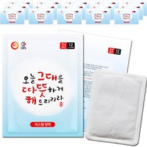 HAPPYDAY 해피데이 따뜻해 붙이는 파스형 핫팩 50g, 30매