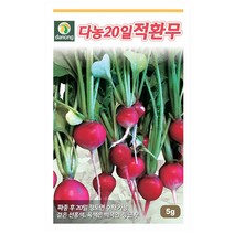 다-20일적환무 5g 무씨 무종자 무씨앗