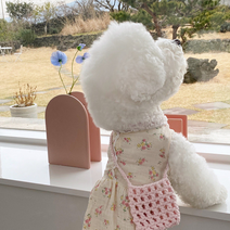 올투펫 고양이 강아지 여름 플라워 치마 쿨 원피스, XL_스카이블루